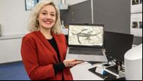 Fossil reptile from the Alps revealed to be partial forgery