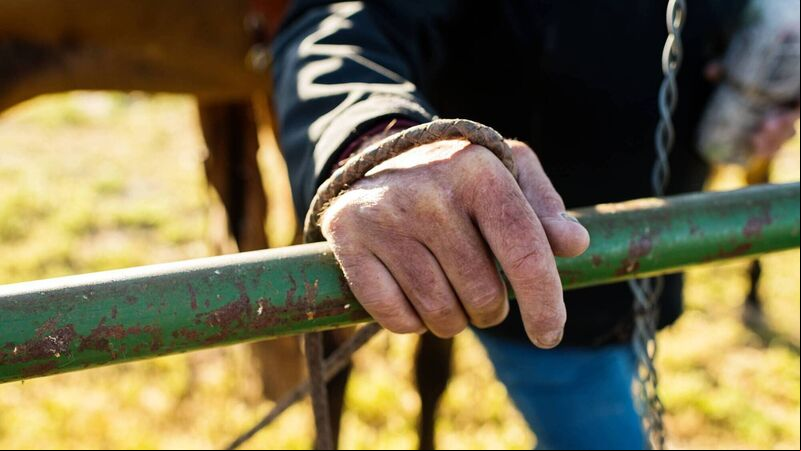 Cork farmers running out of fodder because of unusually prolonged winter rainfall Cork farmers running out of fodder because of unusually prolonged winter rainfall