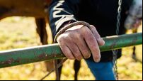 Close up ranchers rough hand on a gate holding a rein