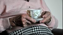 Elderly stock