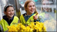 10 tips on how to win Tidy Towns contest