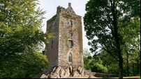 In the Garden: Cork castle and mansion are in great hands