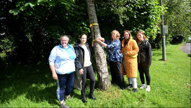 Charity expresses wildlife concerns over Cork BusConnects proposals Charity expresses wildlife concerns over Cork BusConnects proposals