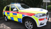 Gardaí arrest teenager and seize imitation firearm following incident in Carrigaline