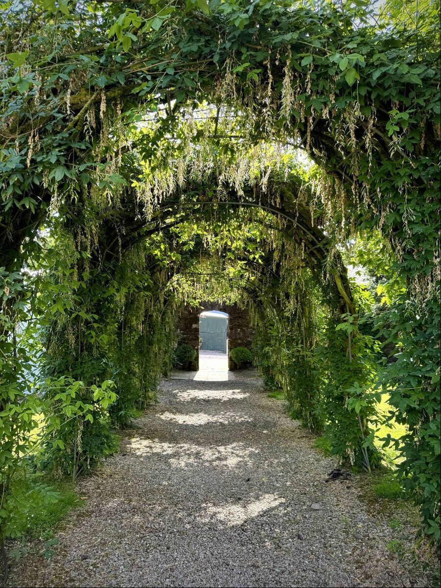 The lovely gardens that surround Ballyvolane House and its glamping site. The lovely gardens that surround Ballyvolane House and its glamping site.
