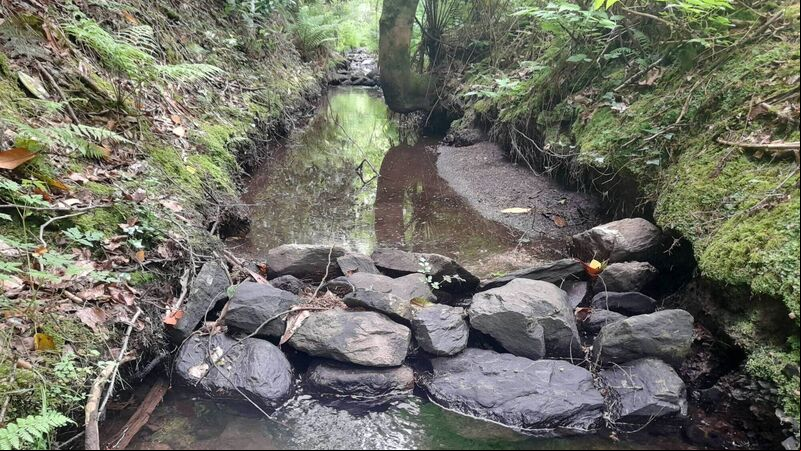 'Nuisance floods' can be protected against says slow water expert ahead of Cork meeting 'Nuisance floods' can be protected against says slow water expert ahead of Cork meeting