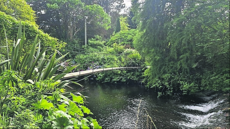 4,500 different varieties of trees, shrubs and plants in this garden