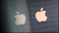 Ministers ‘should not spend Apple billions after fighting case tooth and nail,’ Dáil told