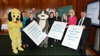 Stormont urged to introduce new regulations around pet breeding