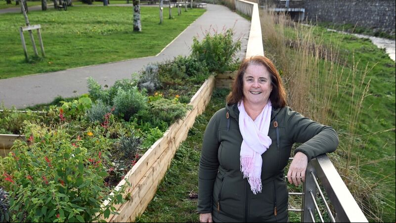 Tidy Towns volunteer: 'Don’t just go and moan about this, be part of the solution' Tidy Towns volunteer: 'Don’t just go and moan about this, be part of the solution'