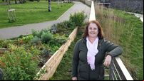 Tidy Towns volunteer: 'Don’t just go and moan about this, be part of the solution'