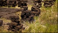 Turf cutters' appeal over law prosecuting them dismissed by Supreme Court