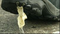 Here’s something to chew on.. let’s ban this unsightly gum