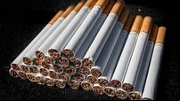 Revenue seizes contraband cigarettes and cannabis worth over €7.5 million