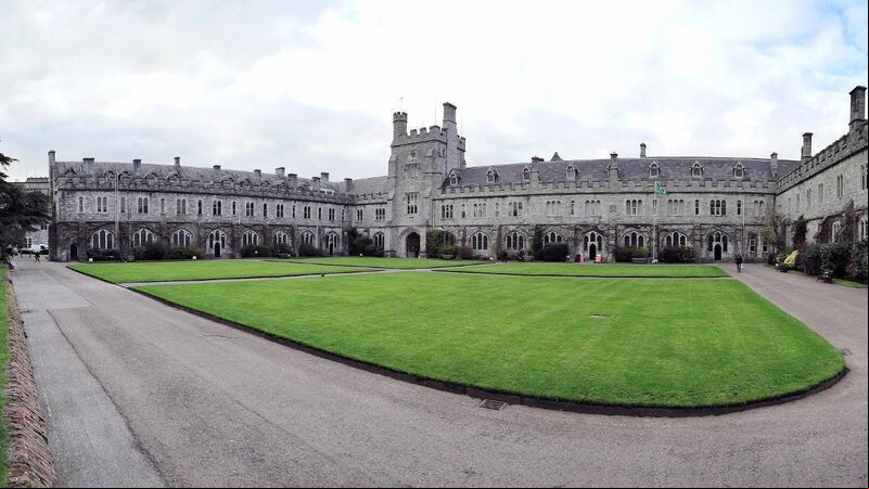 'Urgency is what's missing'. UCC study warns Ireland's climate progress is too slow