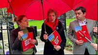 Ivana Bacik urges centre-left parties to create ‘critical mass’ on climate policies