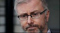Roderic O'Gorman says Green Party was 'key driver' of success in government