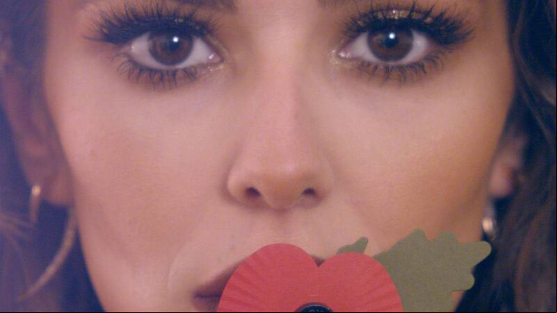 An annual war of words... so who is right in poppy debate? An annual war of words... so who is right in poppy debate?