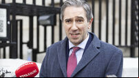 New government ‘ideally’ formed before Trump inauguration, says Taoiseach