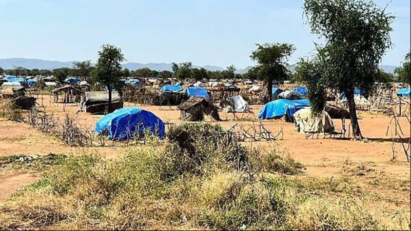 Hunger crisis could kill more people in Sudan than civil war violence – charity Hunger crisis could kill more people in Sudan than civil war violence – charity