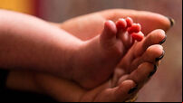 Baby stock
