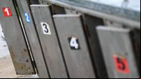 Greyhound Races at Kilcohan Park