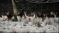 Winter weather Jan 3rd 2025