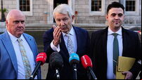 Irish Government formation