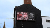 Belfast billboard warns of impact of meat and dairy on sex lives