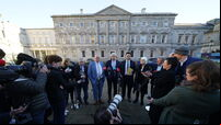 Irish Government formation