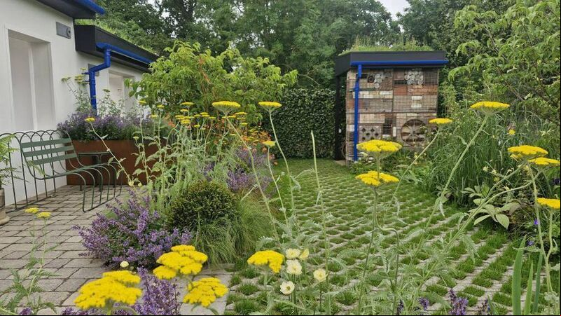 In the garden: 10 ways to be a sustainable gardener In the garden: 10 ways to be a sustainable gardener