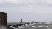Windy weather
