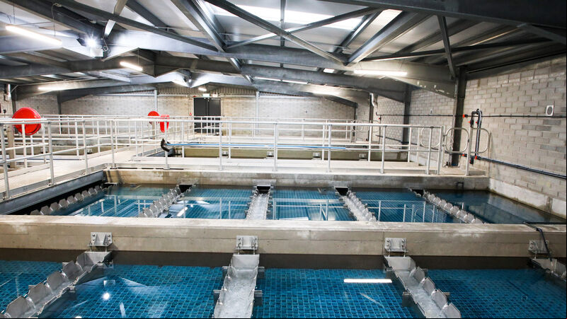 Illness complaints to Uisce Éireann surge by 103% in two years since new Cork treatment plant opens Illness complaints to Uisce Éireann surge by 103% in two years since new Cork treatment plant opens