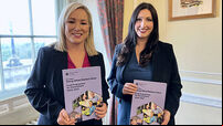 Draft programme for government unveiled