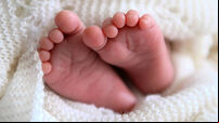 Baby Stock
