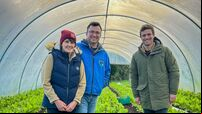 TV: Cork couple tap into power of organic food