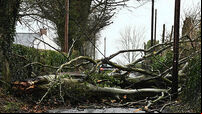 Winter weather Jan 24th 2025