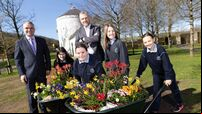 Ballincollig hosts 2025 Tidy Towns launch