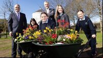 Tidy Towns competition playing a key role in helping to tackle climate change