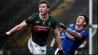 Donnacha McHugh and David Clifford 1/3/2025