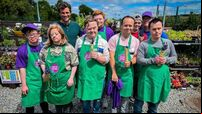 Green Cork projects in spotlight on TV series