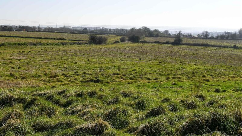 Cork Views: 'Places like Murphy’s Rock are becoming rarer...the road plans should be rejected' Cork Views: 'Places like Murphy’s Rock are becoming rarer...the road plans should be rejected'