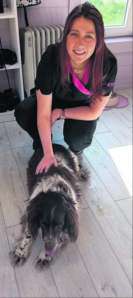 Jenny Walsh meets Adrienne Acton’s nervous Springer Flye. “Two and a half hours later, Flye was looking sharp and looking happy,” says Adrienne - pictured afterwards with Jenny on right Jenny Walsh meets Adrienne Acton’s nervous Springer Flye. “Two and a half hours later, Flye was looking sharp and looking happy,” says Adrienne - pictured afterwards with Jenny on right