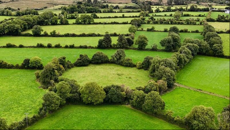 Throwback Thursday: May Day traditions and strange happenings at a fairy fort Throwback Thursday: May Day traditions and strange happenings at a fairy fort