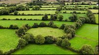 Throwback Thursday: May Day traditions and strange happenings at a fairy fort 