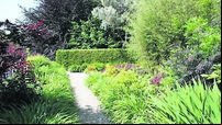 In the garden: The secret of a good gravel garden base