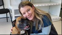 'We loved the idea of the old-school community vet': Sarah opens new practice in Cork 
