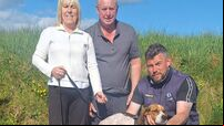 Cork Draghunting: High Miss wins again to capture the Jimmy Carey Memorial Senior Draghunt
