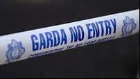 Man (20s) arrested after attempted armed robbery in Co Laois