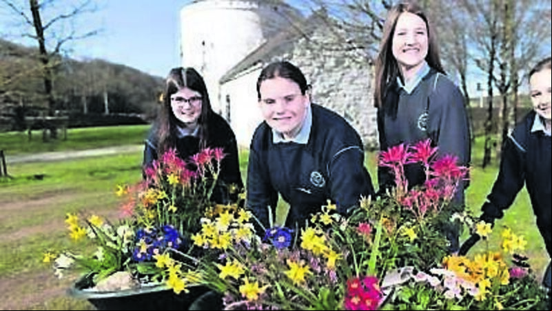 TV focus on the Cork town that cleaned up TV focus on the Cork town that cleaned up